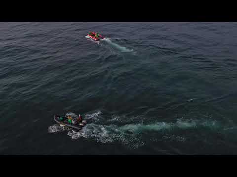 WITNESS | Harvesting Kommetjie