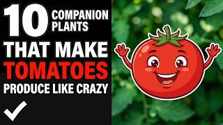 10 Companion Plants That Make Tomatoes Produce Like Crazy