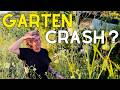 My Garden After The Heatwave What Survived Garden Tour Heat Care Tips