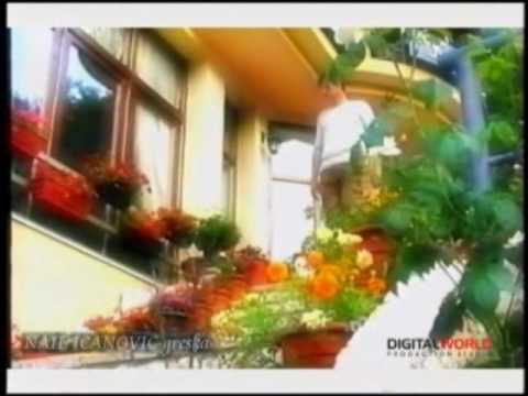 Spot - Nail Ičanović - Greška.mpg