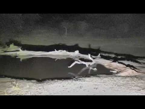 Djuma: Something chasing another animal - 22:14 - 09/11/18