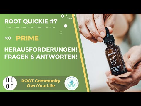 ROOT QUICKIE #7 - Prime Herausforderungen! Fragen & Antworten!