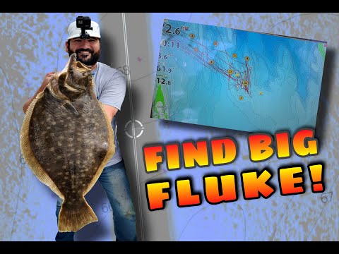 Finding BIG Fluke (Flounder) Spots!