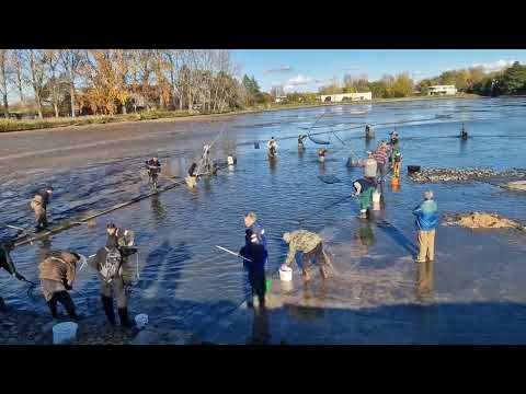 Dolovna Ležánecký 2023