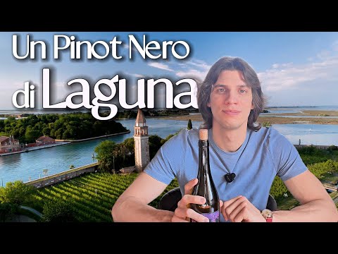 Un PINOT NERO di LAGUNA 🍷👀