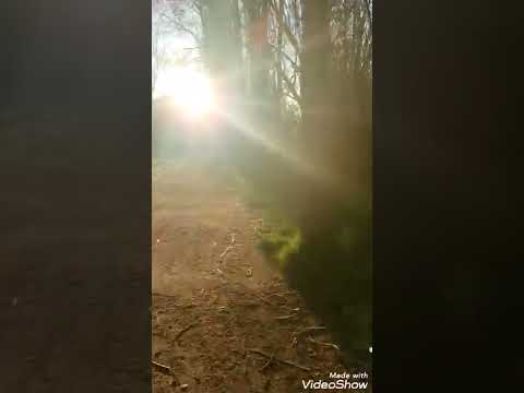 Gesù quanto é magnifico il nome Tuo su tutta la terra!