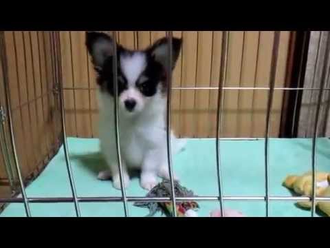 14 0511生まれヴィヴィっ子長男くん