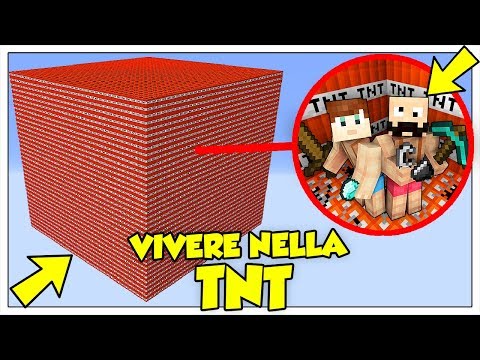 SI PUÒ SOPRAVVIVERE IN UN CUBO DI TNT? - Minecraft ITA