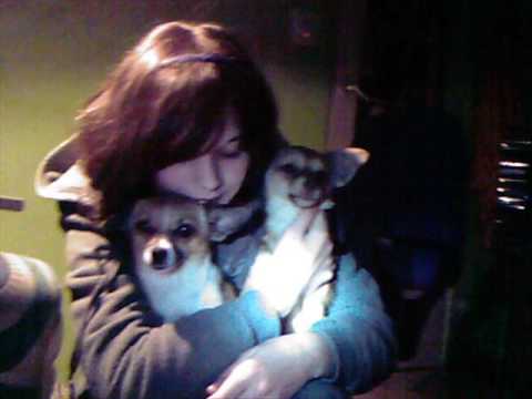 1z2 - Chwile zwątpienia.