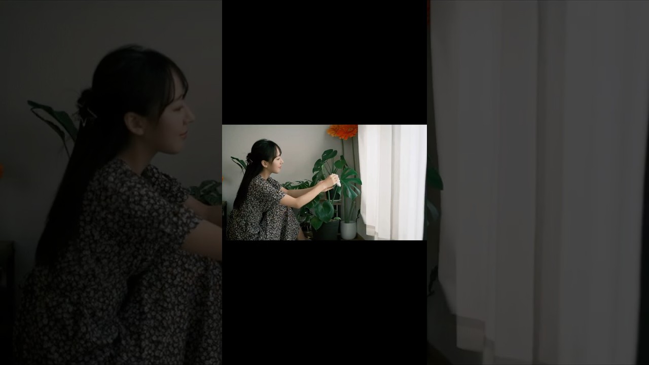 Cozy Life in Tokyo #tokyo #lifestyle #slowlife