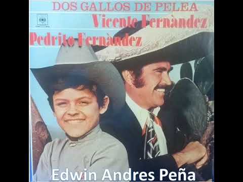 Dos Gallos De Pelea Vicente Fernandez Y Pedrito Fernández