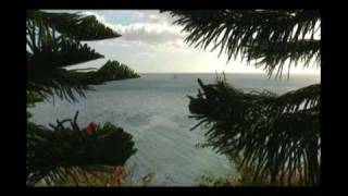 preview picture of video 'Palmetum Santa Cruz Tenerife Enero 2009'