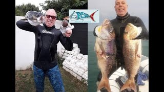 pescasub | Serata con Fabio Antonini e Massimo Baldassare diretta Facebook -  English subtitles