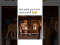 I Love This Movie Wolf Lion Shorts Explore Funny Memes Series Jokes Movie Movies Viral