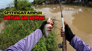 Download lagu Settings for fishing for tilapia in murky water #fishing #mancingmelem mp3 Download lagu Settings for fishing for tilapia in murky water #fishing #mancingmelem mp3
