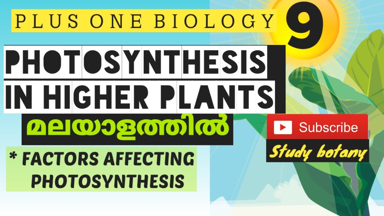 FACTORS AFFECTING PHOTOSYNTHESIS | PLUS ONE BIOLOGY MALAYALATHIL | STUDY BOTANY FOR NCERT SCERT CBSE