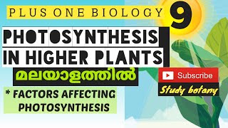 FACTORS AFFECTING PHOTOSYNTHESIS | PLUS ONE BIOLOGY MALAYALATHIL | STUDY BOTANY FOR NCERT SCERT CBSE