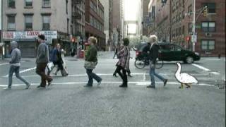 LOOSE LIPS MUSIC VIDEO
