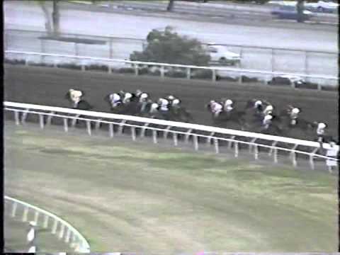 1991 Hollywood Futurity S. -- A.P. Indy