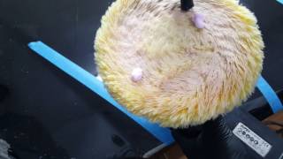 Tek Kat'ta pasta cila. 3D Speed. Orbital ve Rotary.