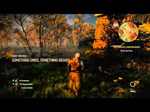 The Witcher 3: Wild hunt  - "Escaped" Crone boss fight