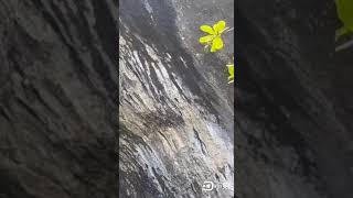 八仙洞裡面的靈岩洞