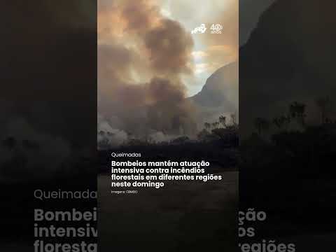 Goiás mantém atuação intensiva contra incêndios florestais em diferentes regiões neste domingo