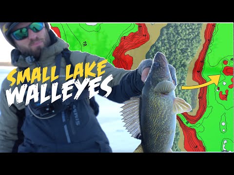 How to Catch Walleyes Ice Fishing SMALL LAKE!