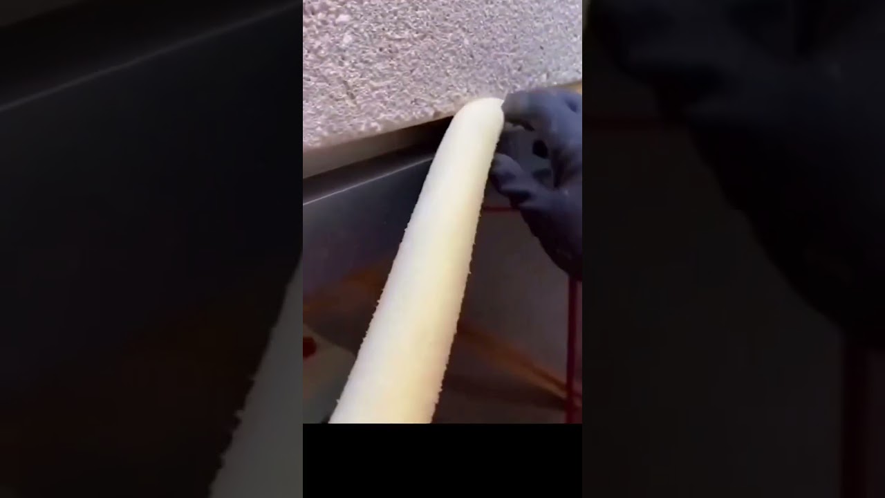 Backer rod, tape and caulking = waterproof window