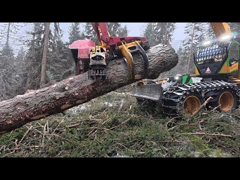 🌲powercutting 🌲 forest peg - Highlander - Husky 564 XP [ 1: # ] 
