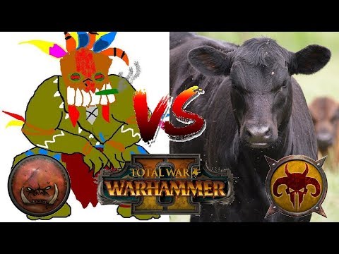 Greenskins vs Beastmen | DA "GREEN" PROPHET - Total War Warhammer 2 Tournament Match