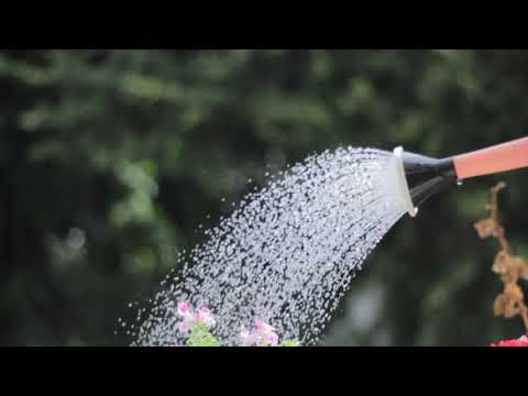 Amazing Colors of Spring Flowers and Fall Leaves -  Nature Relax Video with Nature Sounds) 🌿🍃