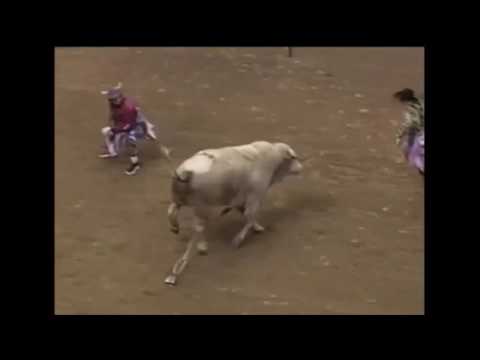 Promise Land bucks Wiley Petersen - 01 PBR St. Louis