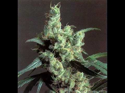 Anthony B - One of A Kind Girl