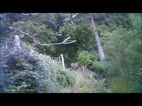 Il casolare abbandonato nel ventre del bosco