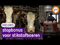 Binnen een jaar minder piekbelasters, anders komt er gedwongen uitkoop