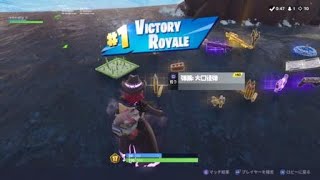 ［フォートナイト］ソロ練習トーナメント10キルビクロイ