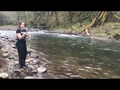 Steelhead Bobber Down!