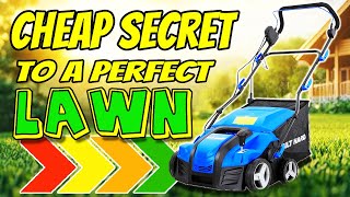 Lush Lawn Hack | Cheapest 16inch 15amp Dethatcher & Scarifie