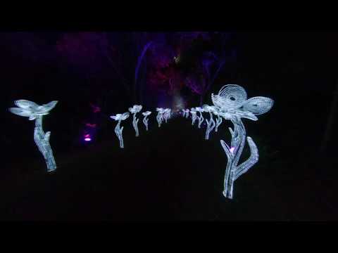 Above Ground Productions LLC video.