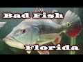 Aquarium Stores In West Palm Beach