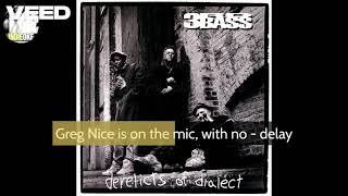 3rd Bass - Microphone Techniques [karaoke]