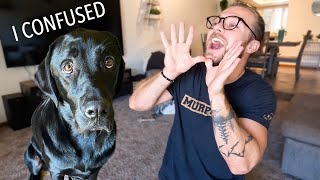 Calling My Dog When He's Right Next to Me