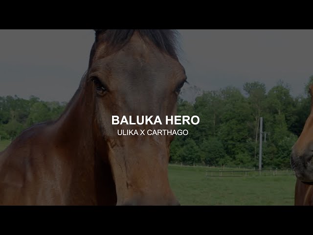 Baluka Hero