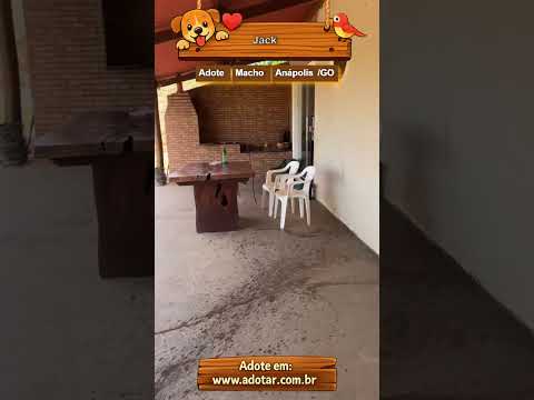Vídeo de Jack