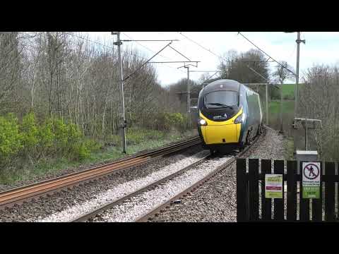 Train Horns Compilation 4.0