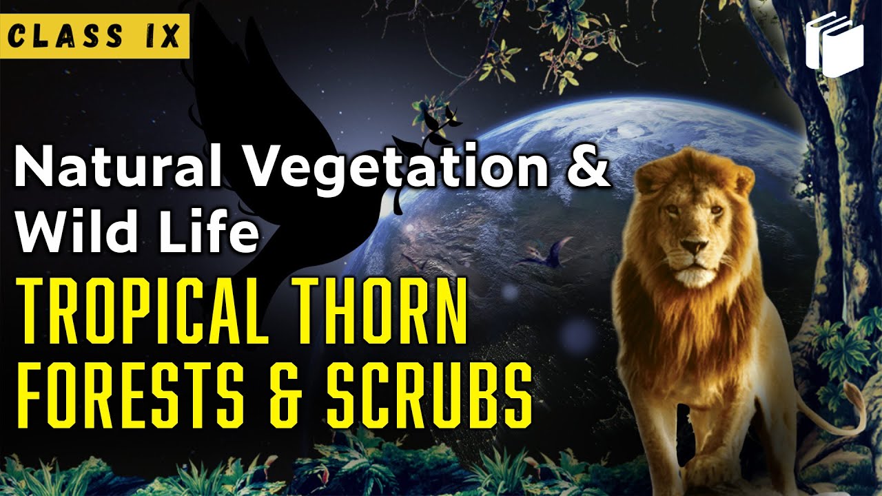 Tropical Thorn Forests | Natural Vegetation & Wildlife | Chapter 5 - Geography | Class 9 | PuStack