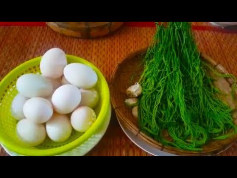 Fried Eggs With Climbing Wattle - Fast Easy Family Food Video