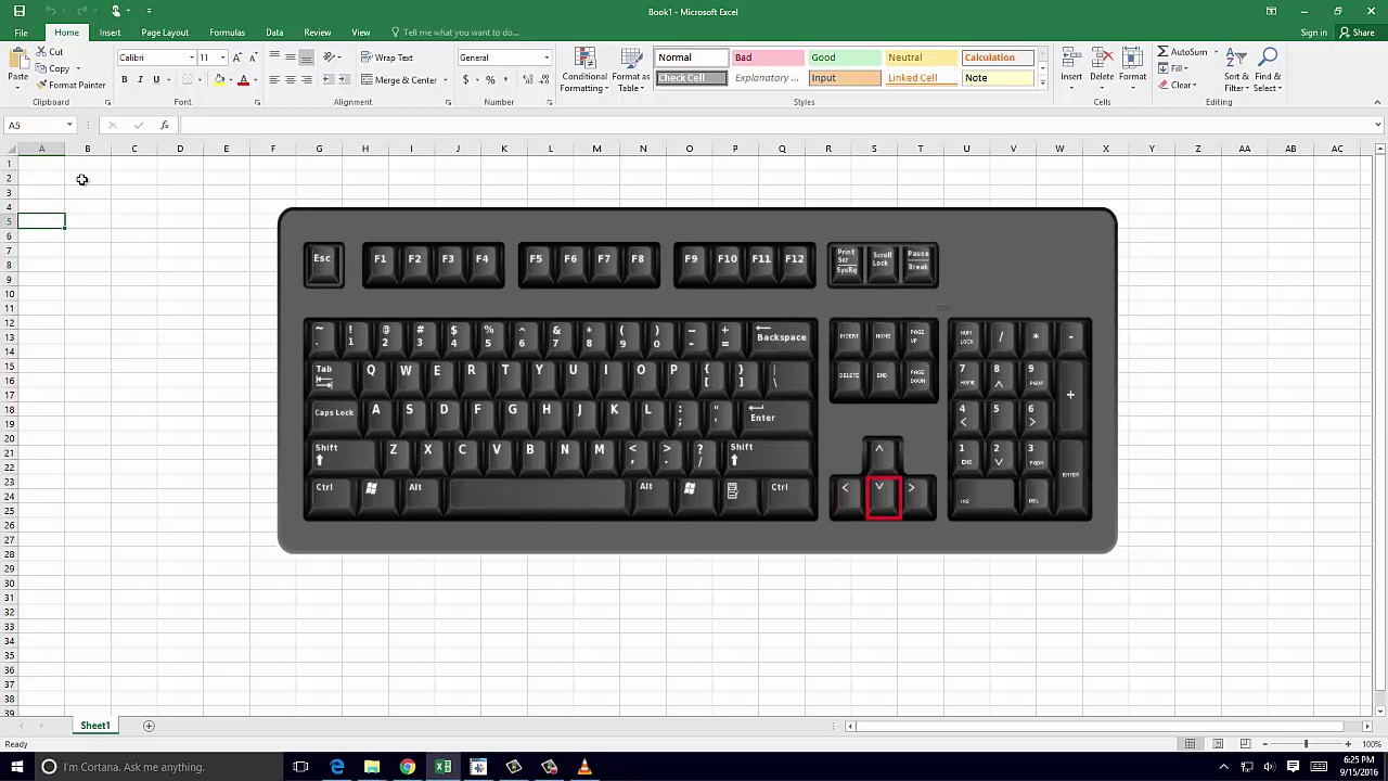Navigating a Worksheet
