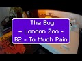 The Bug ‎– London Zoo - B2 - To Much Pain Feat. Ricky Ranking